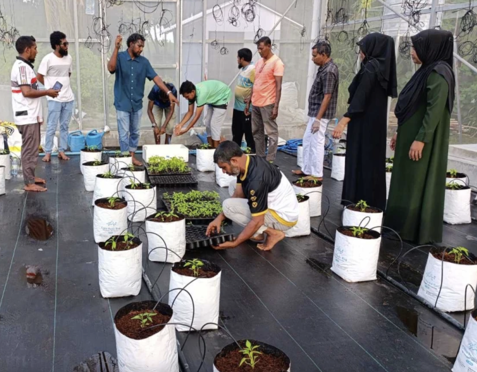 478 farmers trained nationwide as Maldives accelerates modern agriculture efforts