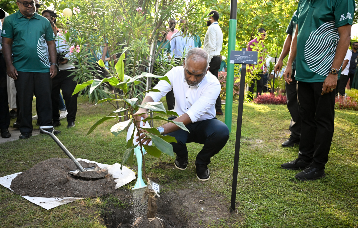 Over 1.83 Million Trees Planted Under Maldives’ Five Million Trees Programme